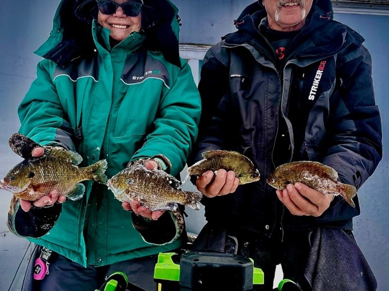 Blue Diamond Ice Shack