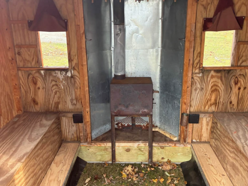 Orange Perch Assassin