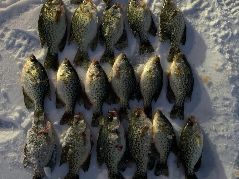 Rush Lake Ice Castle RV Edition