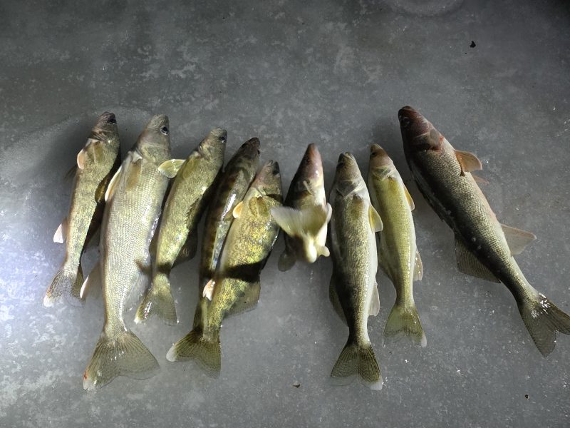 13x13 Portable Ice Shack Rental – Elbow Lake, MN | Group-Friendly & Insulated