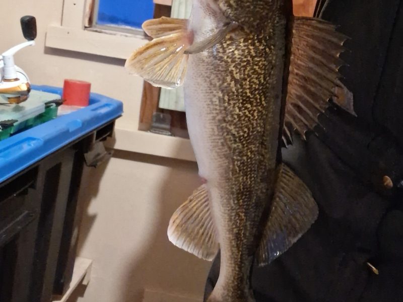 Kotula's Secret Spot on Shawano Lake 🎣